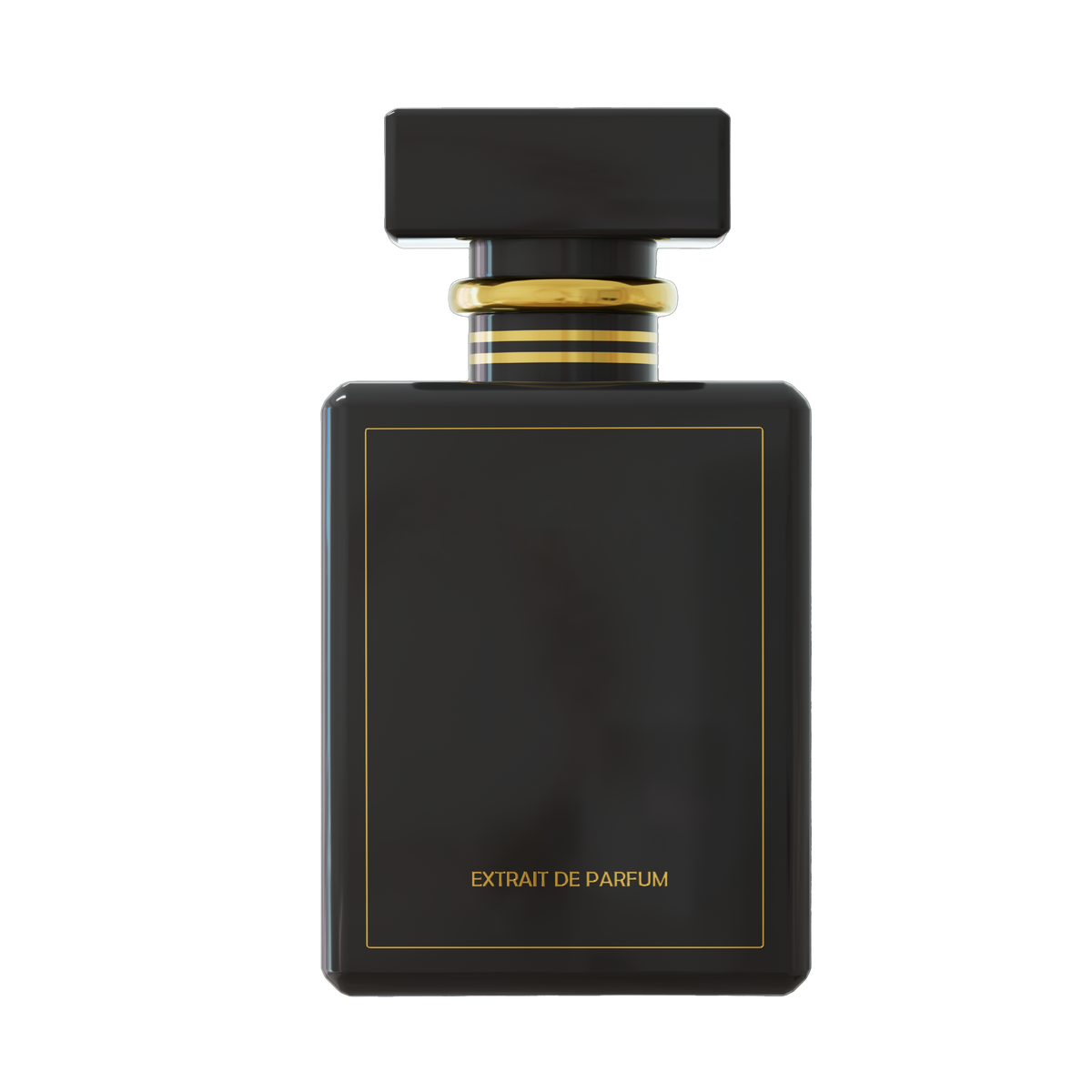 vibeourplus Magnetic Cologne
