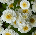3_c1a51d2b-8c0f-4f25-80c5-8f2deb542e4f.png