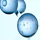 5_bbeb616b-046f-41ce-8dba-814d12edbfaa.png