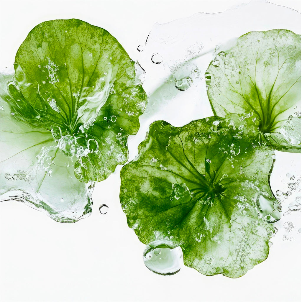 Anti-Aging Revitalization Set