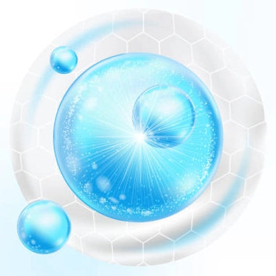 istockphoto-1957758452-612x612_copy.jpg