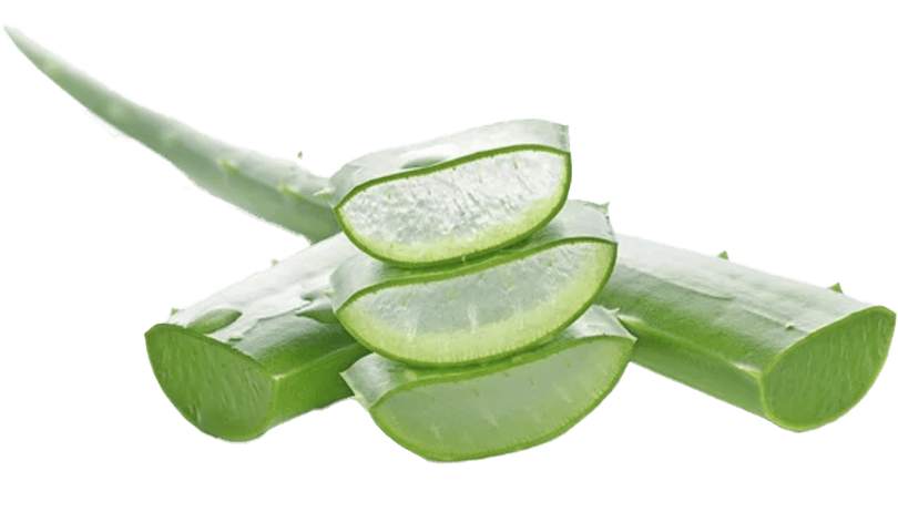 pt-9a61fb65ddfa-Aloe-vera.png